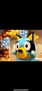 Bluey Mascotte te Huur!, Ophalen, Gebruikt