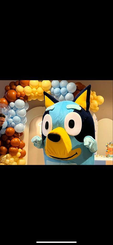 Bluey Mascotte te Huur!, Hobby en Vrije tijd, Feestartikelen | Verhuur, Gebruikt, Ophalen