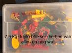 Grote Duplo verzameling - 7.5 kg, Ophalen, Gebruikt, Losse stenen, Duplo