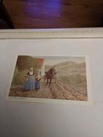 ZEELAND.  IN DE DUINEN.  met paard en wagen, Ophalen of Verzenden, Voor 1920, Klederdracht