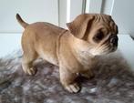 Beeld hond Mopshond polystone, Verzamelen, Ophalen of Verzenden, Zo goed als nieuw, Dier
