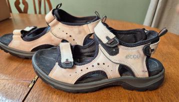 Ecco sandalen 39 beschikbaar voor biedingen