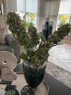 Nieuwe Zijde Hortensia's, Huis en Inrichting, Woonaccessoires | Vazen, Kunststof, 50 tot 75 cm, Nieuw, Ophalen of Verzenden