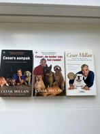 3x Cesar Millan boeken – €10 (alleen ophalen) Leer alles ove, Boeken, Dieren en Huisdieren, Honden, Cesar Millan, Ophalen, Gelezen