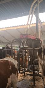 Lely Cosmix S krachtvoerbox, Dieren en Toebehoren, Stalling en Weidegang