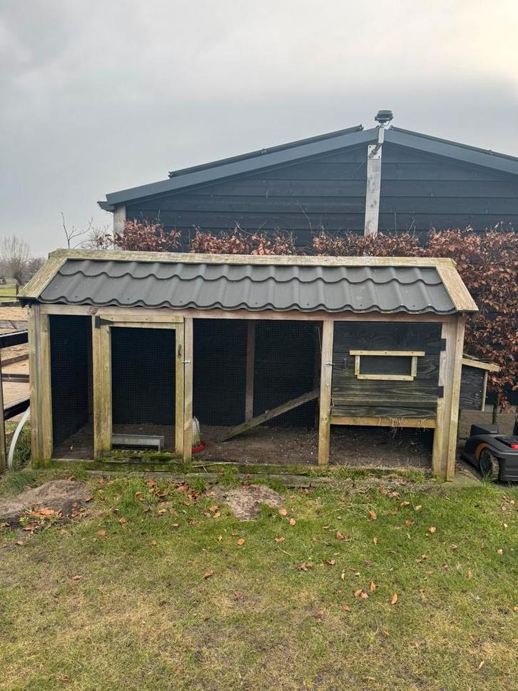 Kippenhok inclusief 1 hen en toebehoren, Dieren en Toebehoren, Pluimvee | Toebehoren, Gebruikt, Kippenhok of Kippenren, Ophalen