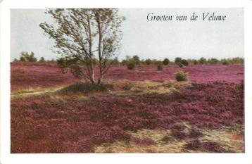 (388-473-059) Veluwe beschikbaar voor biedingen