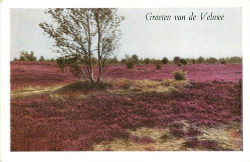 (388-473-059) Veluwe, Verzamelen, Ansichtkaarten | Nederland, Gelderland, Verzenden