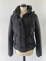 Heel goed zwart Woolrich puffer dons jas S 36 Artctic Ramar, Zwart, Ophalen of Verzenden, Zo goed als nieuw, Woolrich