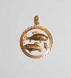 Hanger sterrenbeeld Vissen doublé, Overige materialen, Nieuw, Ophalen of Verzenden, Kruis of Symbool