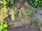 ophoogzand, Tuin en Terras, Zand, Ophalen, Zo goed als nieuw, Ophoogzand
