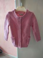 Vest meisjes maat 74, Kinderen en Baby's, Babykleding | Maat 74, Ophalen of Verzenden, Nieuw, Meisje, Truitje of Vestje