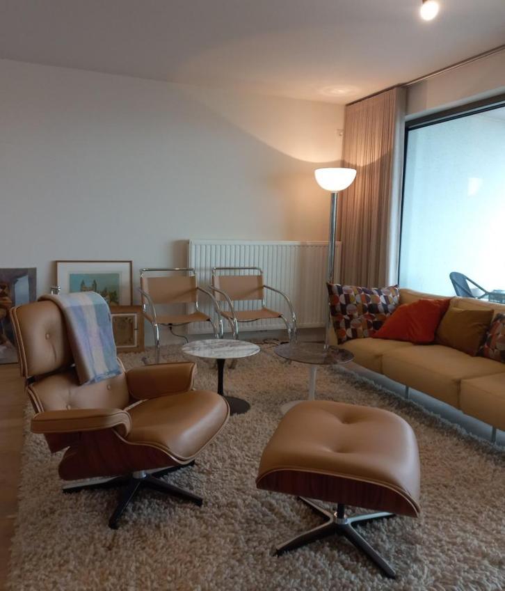 hide leather stoelen MR L mies vd rohe stam breuer e gray, Antiek en Kunst, Antiek | Meubels | Stoelen en Banken, Ophalen of Verzenden