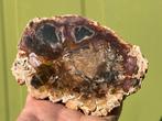Versteend hout schijf plak dubbel gepolijst mineralen 3, Ophalen of Verzenden, Mineraal
