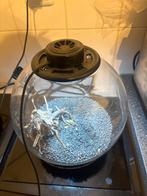 Bolvormige aquarium met led verlichting, Ophalen, Zo goed als nieuw, Leeg aquarium