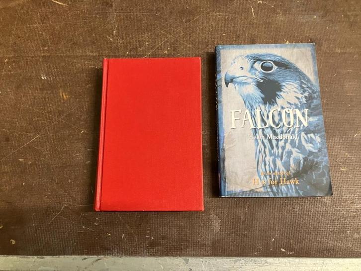 valk valkerij valkenjacht, Boeken, Dieren en Huisdieren, Zo goed als nieuw, Vogels, Ophalen
