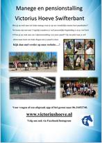 Manege en pensionstalling Swifterbant, Dieren en Toebehoren, Stalling en Weidegang, Stalling, 4 paarden of pony's of meer