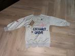 Coconut Grove trui maat L, Kleding | Dames, Ophalen, Zo goed als nieuw, Maat 38/40 (M)