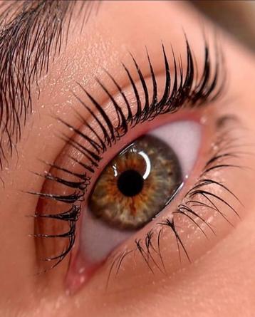 Lash Lift - Rotterdam Zuid beschikbaar voor biedingen