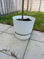Elho potten wit 2x, Tuin en Terras, Kunststof, Rond, Ophalen of Verzenden, Zo goed als nieuw