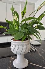 Retro bloempot op voet, Verzenden, Huis en Inrichting