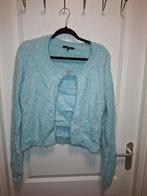 Nikkie trui, Blauw, Maat 42/44 (L), Ophalen of Verzenden, Zo goed als nieuw
