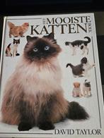 Het Mooiste Kattenboek - David Taylor, Ophalen, Zo goed als nieuw