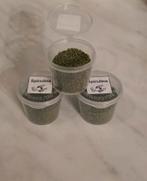 Spirulina korrels voor garnalen, vissen., Kreeft, Krab of Garnaal