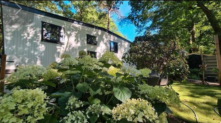 Schitterend houten chalet op een droomplek aan het bos!, Huizen en Kamers, Recreatiewoningen te koop, Gelderland, Chalet, Verkoop zonder makelaar