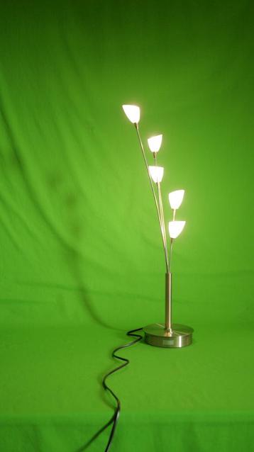 Flower Inspired Table Lamp | Vintage | Floral | Glass Shades beschikbaar voor biedingen