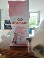 Royal Canin kitten voer sterilised 2 kilo, Dieren en Toebehoren, Dierenvoeding, Ophalen of Verzenden, Kat