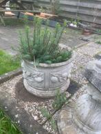 Bloempot steen, Tuin en Terras, Tuinbeelden, Ophalen of Verzenden, Gebruikt, Steen