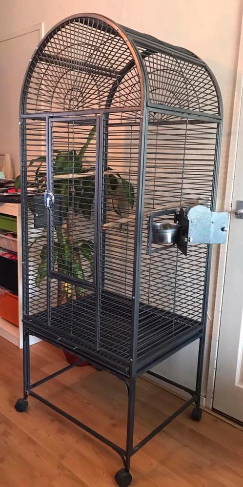 Papegaaien kooi, Dieren en Toebehoren, Vogels | Hokken en Kooien, Zo goed als nieuw, Vogelkooi, Metaal, Ophalen