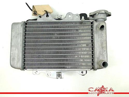 RADIATEUR Honda Dylan (PS150i) (01-1970/-) (713080), Motoren, Onderdelen | Honda, Gebruikt