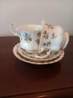 Vintage Royal Albert Kop en Schotel, Gebruikt, Ophalen of Verzenden, Overige stijlen, Kop(pen) en/of Schotel(s)