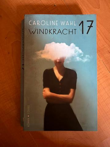 Windkracht 17 beschikbaar voor biedingen
