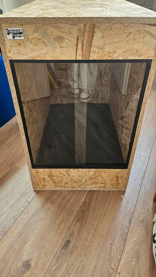 OSB3 terrarium 50/75/80, Dieren en Toebehoren, Reptielen en Amfibieën | Toebehoren, Zo goed als nieuw, Terrarium of Paludarium