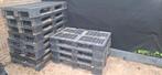 Kunstof pallets, Doe-het-zelf en Verbouw, Kratten en Dozen, Ophalen, Gebruikt, 60 cm of meer, Minder dan 35 cm