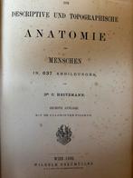 Antiek anatomie boek 1890 Heitzmann, Antiek en Kunst, Antiek | Boeken en Bijbels, Ophalen of Verzenden