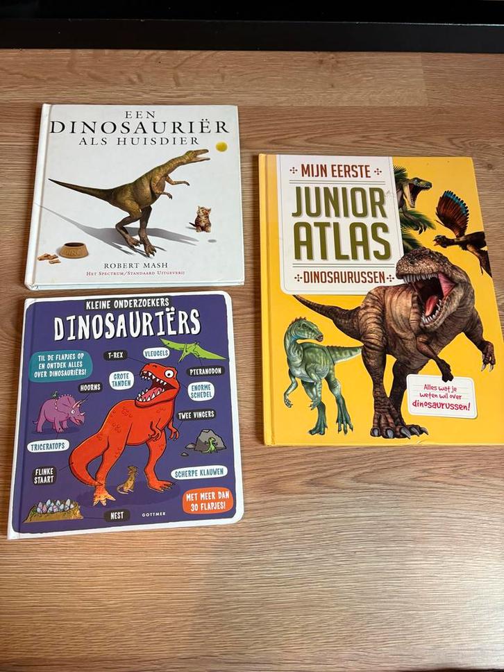 Dino Boeken Set, Boeken, Kinderboeken | Jeugd | onder 10 jaar, Zo goed als nieuw, Non-fictie, Ophalen