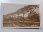 Fotokaart Wijnaldum 3, Verzenden, 1920 tot 1940, Ongelopen, Friesland