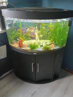 3 hoek aquarium 190liter, Ophalen of Verzenden, Zo goed als nieuw, Leeg aquarium