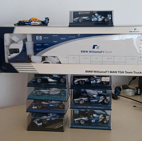 Williams F1 Schaalmodellen (1:43), Hobby en Vrije tijd, Modelauto's | 1:43, Zo goed als nieuw, Auto, Overige merken, Verzenden