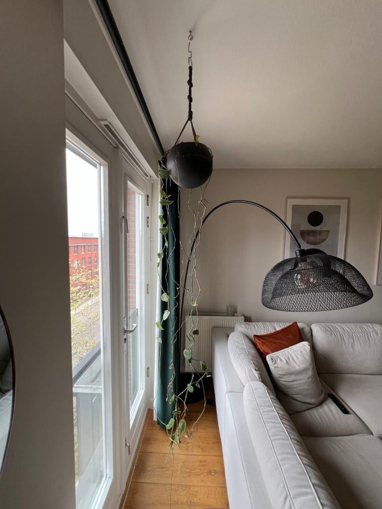 String of Hearts hangplant incl. pot - lange ranken, Ophalen, Overige soorten, Halfschaduw, In pot