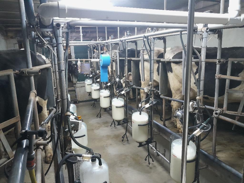 melkstal surge, Ophalen, Gebruikt