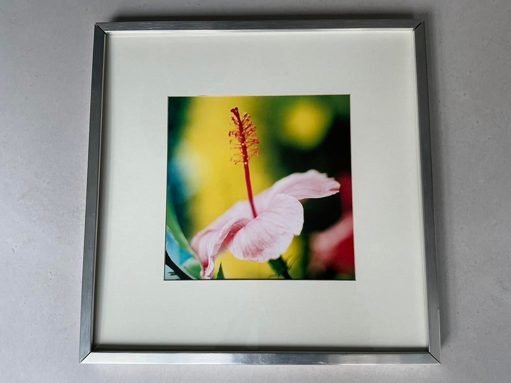 2 IKEA reproducties 53cm/53cm samen €5,00, Ophalen of Verzenden