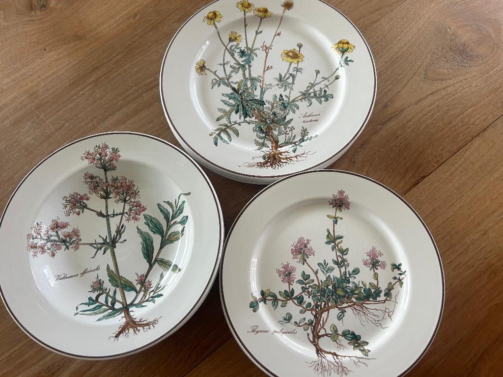 Botanica borden (Villeroy & Boch), Ophalen of Verzenden