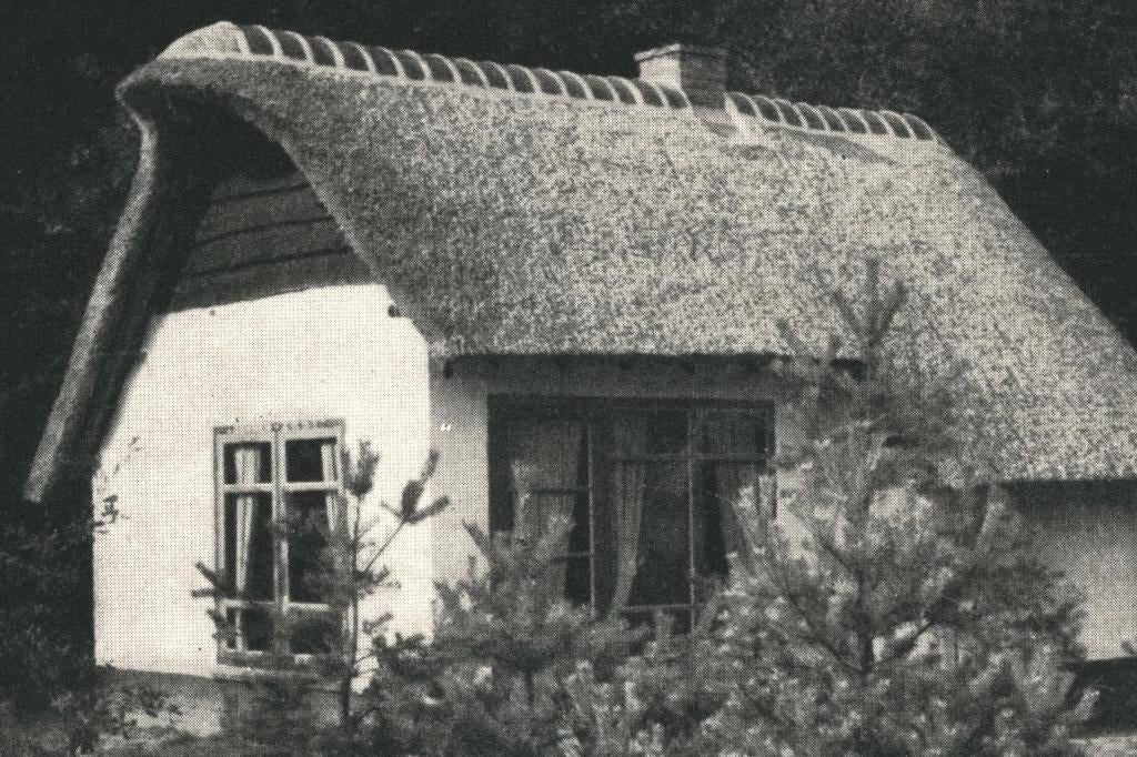 967223 Oosterhout N Br 1961 Bungalow Katjeskelder Gelopen, Ophalen of Verzenden, 1960 tot 1980, Gelopen, Noord-Brabant