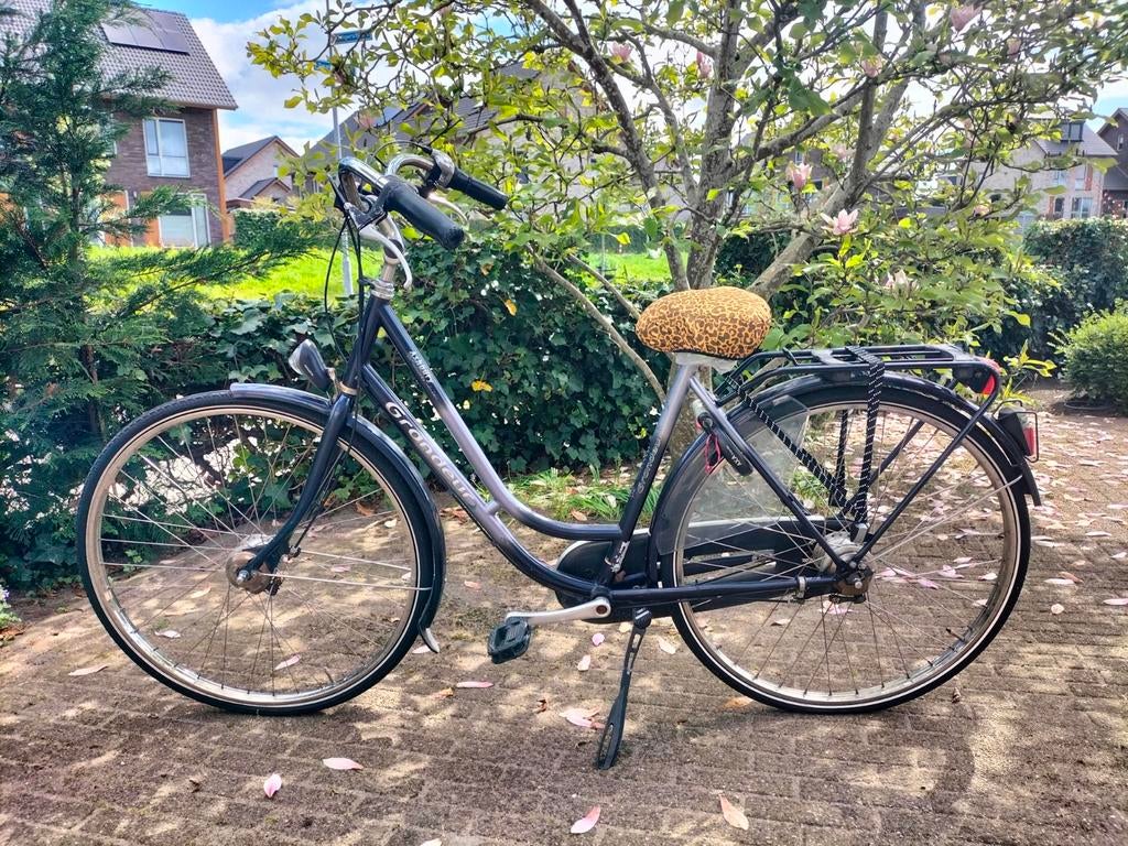 Grandeur Ashbury Dames Stadsfiets - Klein Model (48 inch), Fietsen en Brommers, Fietsen | Dames | Damesfietsen, 47 tot 50 cm, Ophalen of Verzenden