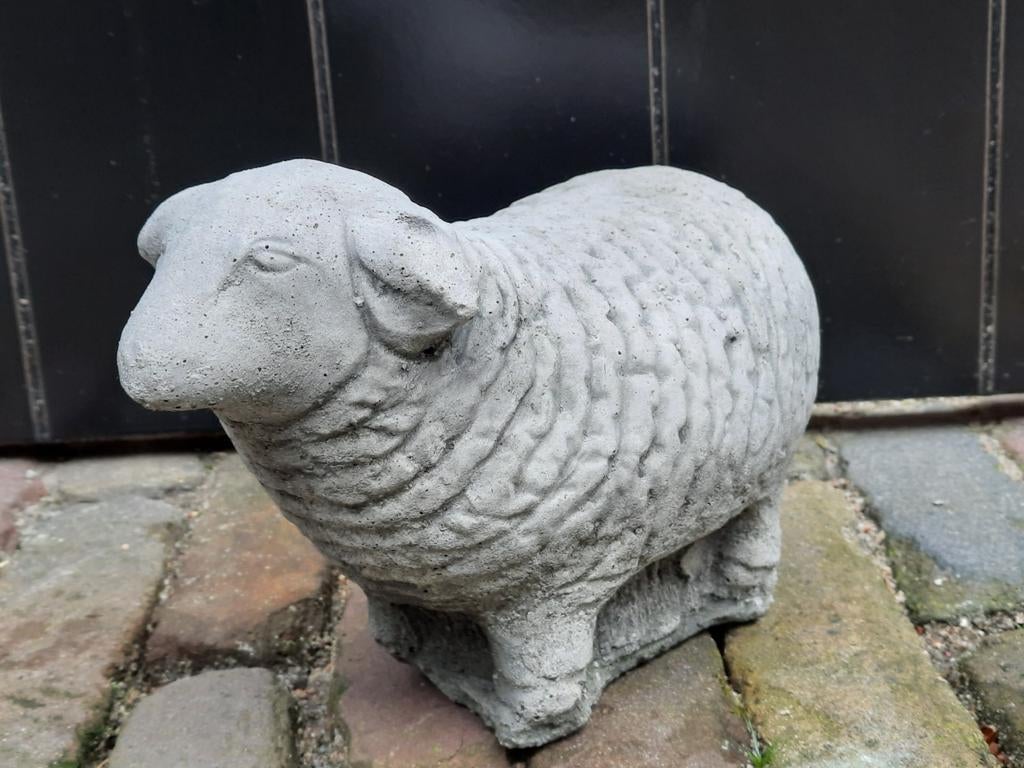 Tuinbeeld / beeld schaap lammetje beton voor tuin, Tuin en Terras, Tuinbeelden, Ophalen of Verzenden